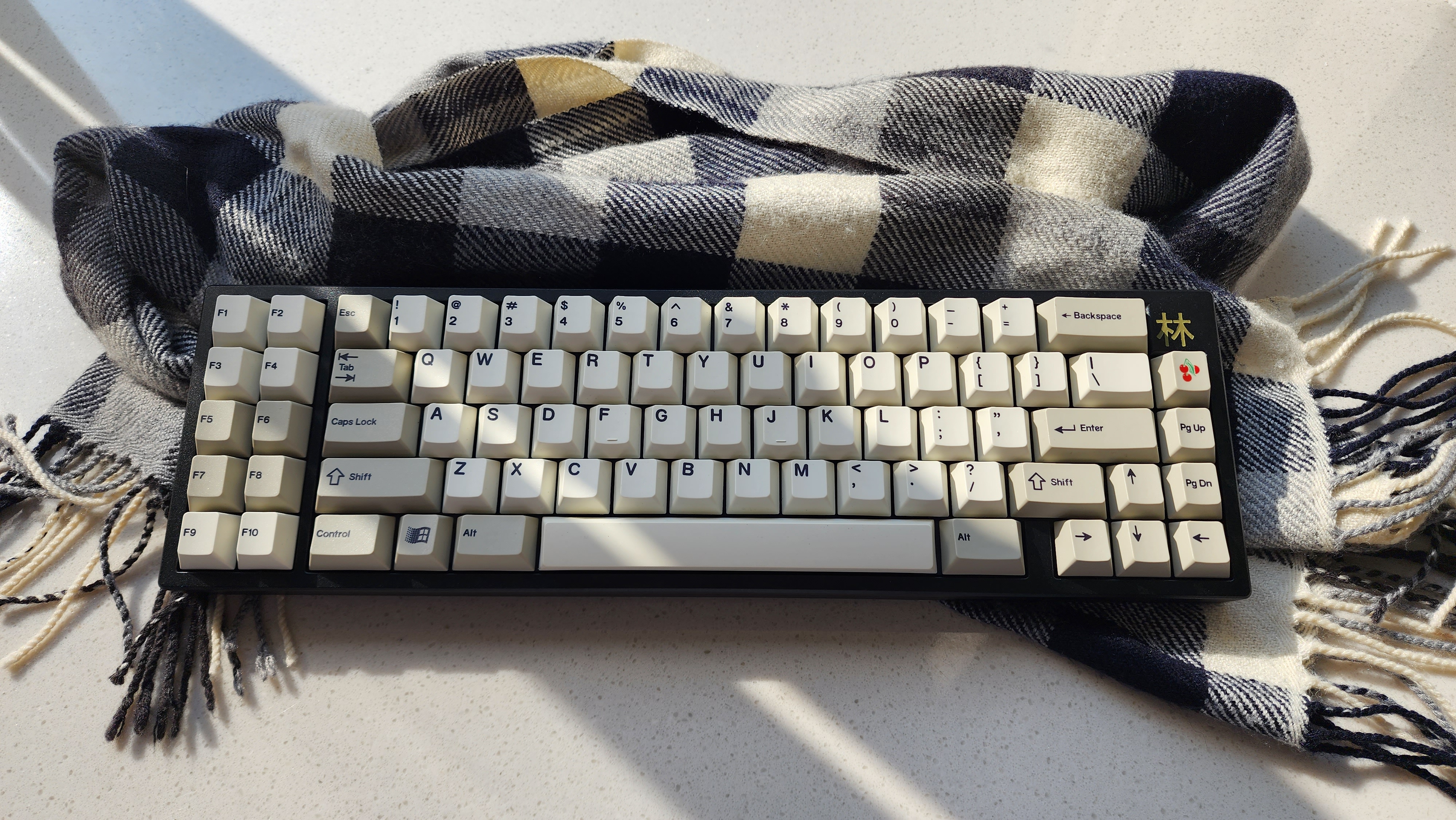 forest65